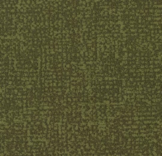 s246021_t546021 moss
