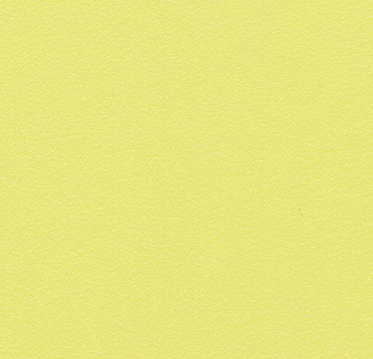 181802 lemon