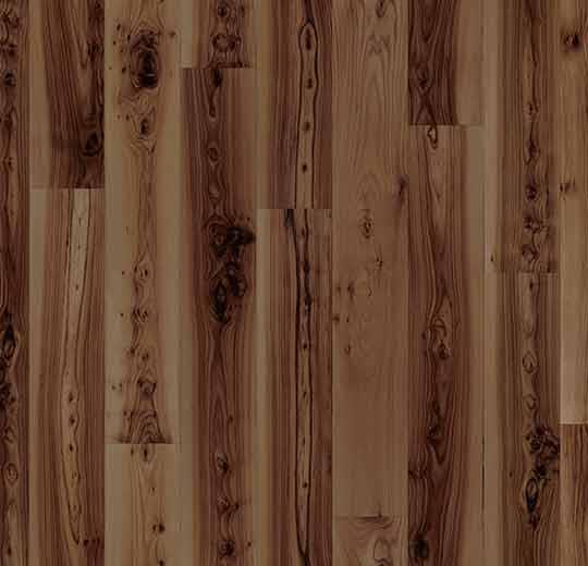 010020 dark elm