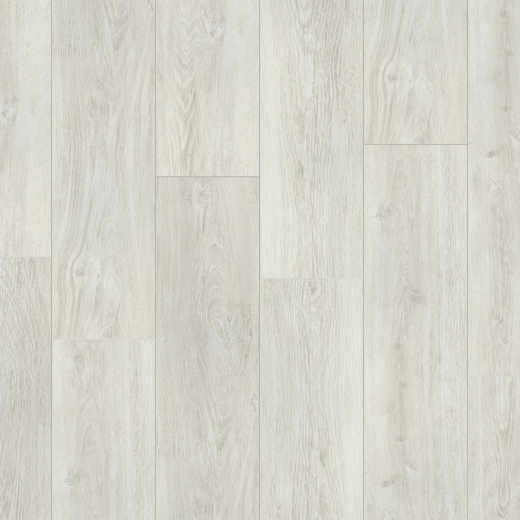 BLACKWOOD GRACE