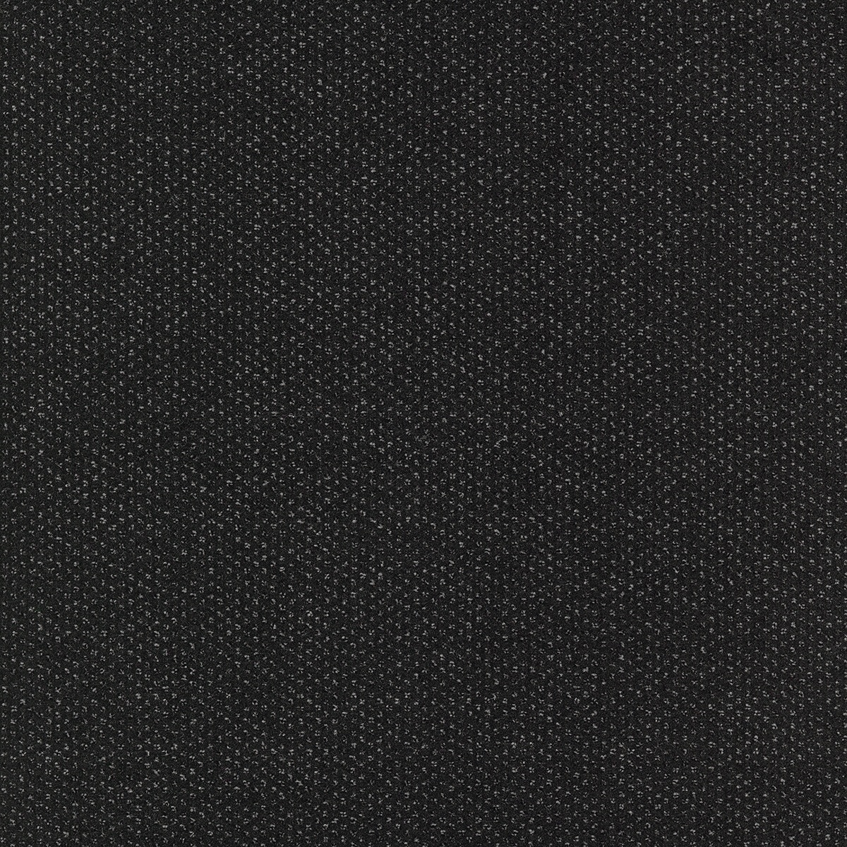 Tapibel 60951