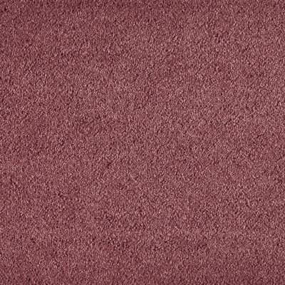 Olivia 436