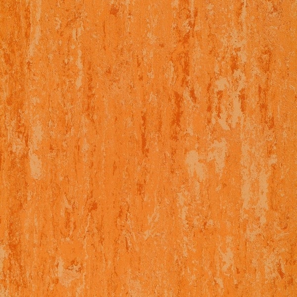 0072 Peach Orange