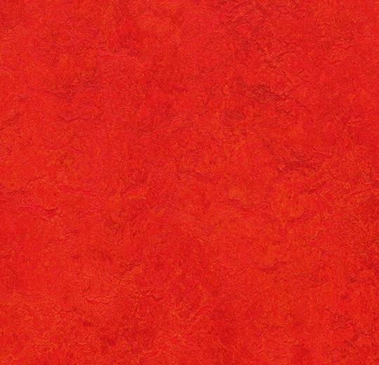 t3131 scarlet 50 cm x 50 cm