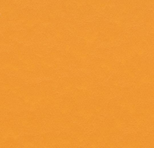 t3354 pumpkin yellow 50 cm x 50 cm
