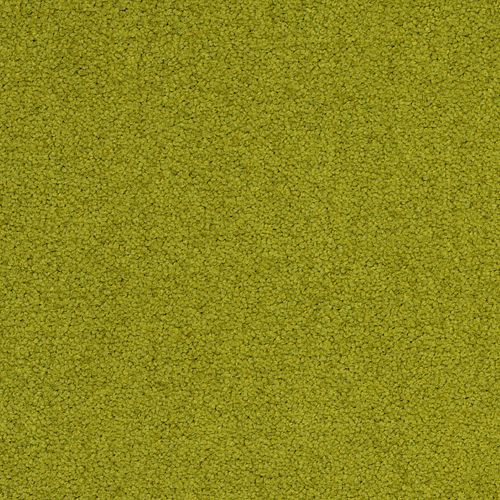 Desso Palatino 7062