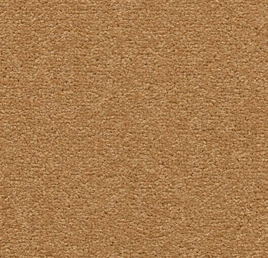 Acrobat 1322 cinder toffee