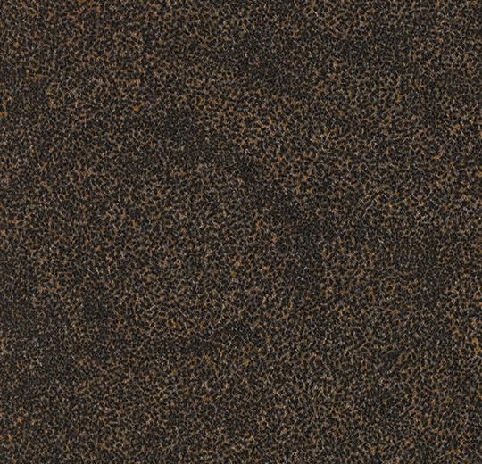 Graphic Rice 97105