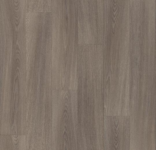 438422, 428422 carbon