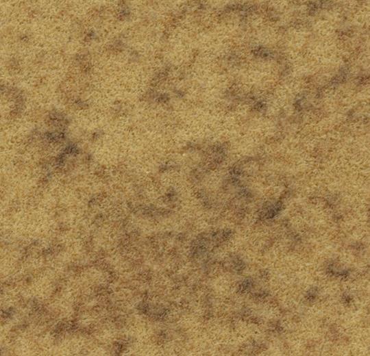 s290027_t590027 amber