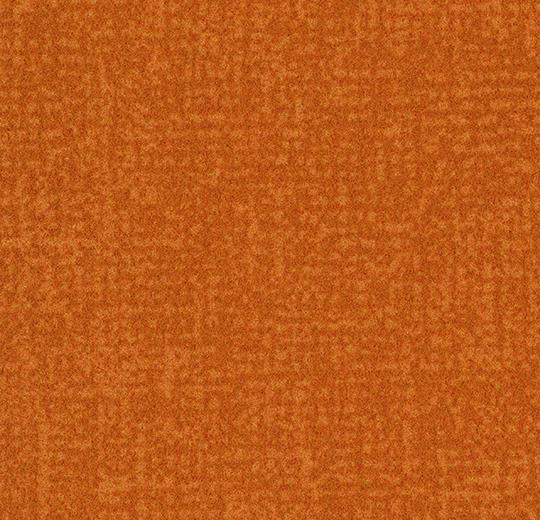s246025_t546025 tangerine
