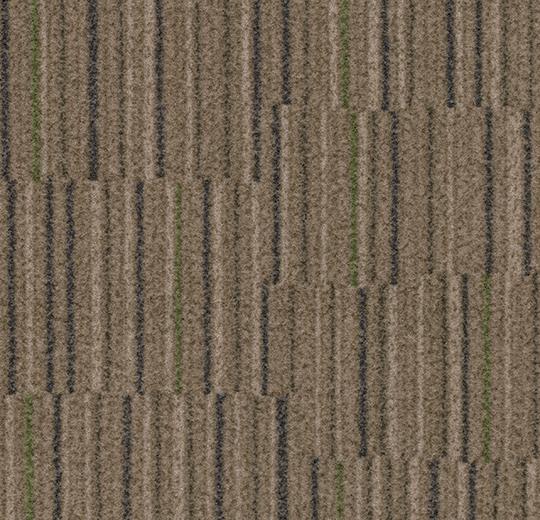 s242012_t540012 walnut