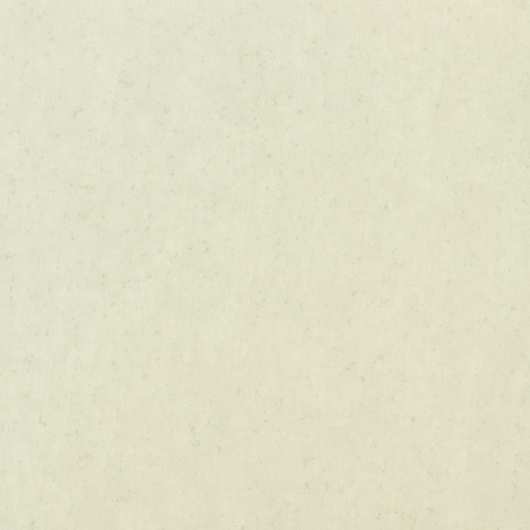 AS-2144 White