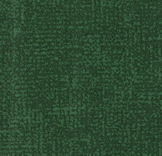 s246022_t546022 evergreen