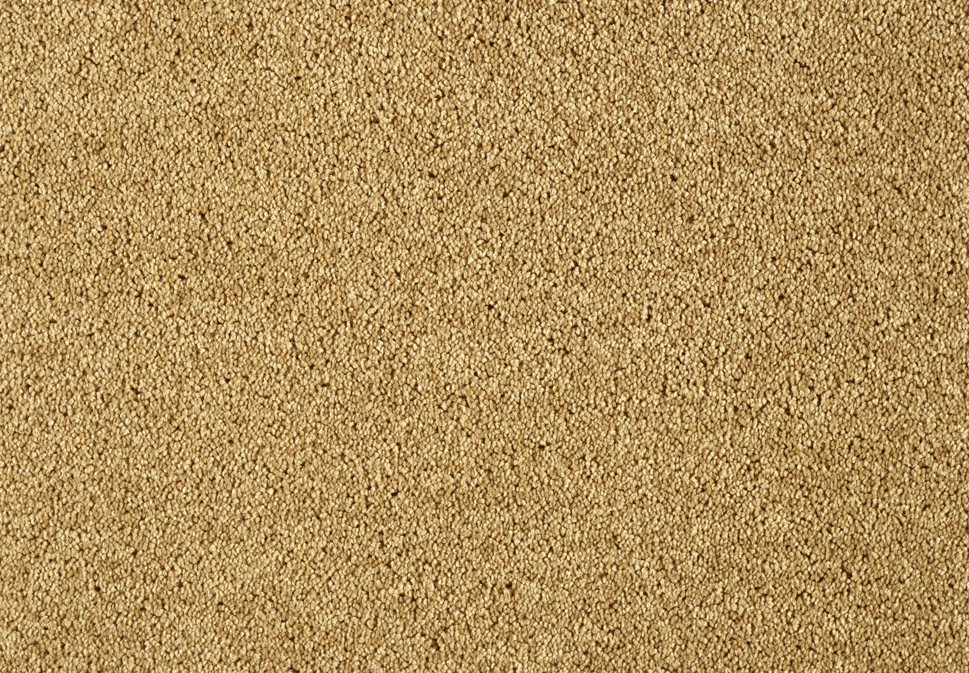 Lounge 371 Gold leaf 1