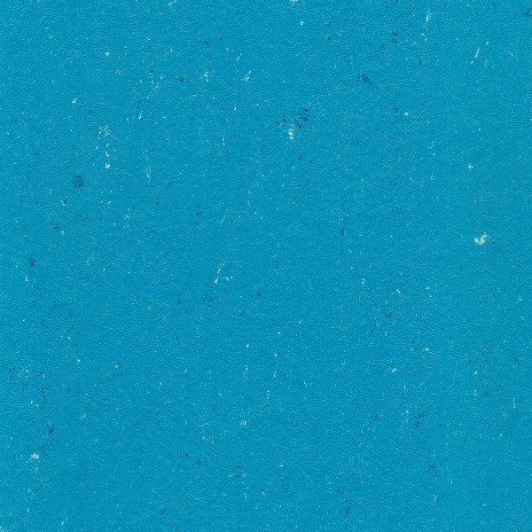 0123 Poppy Blue