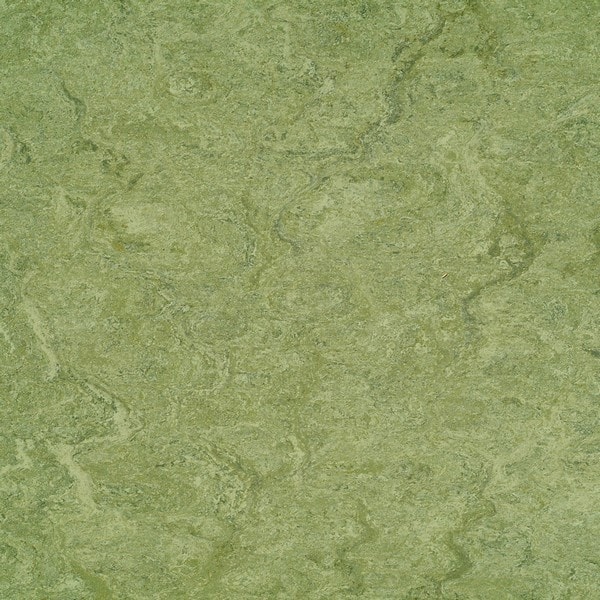 0100 frog green 2,5 мм