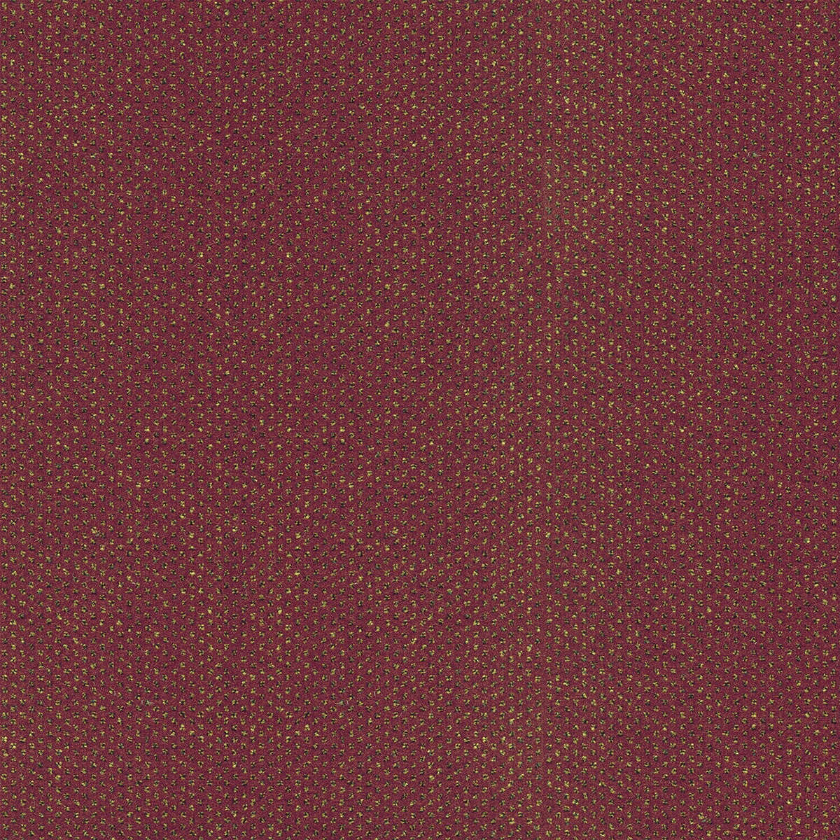 Tapibel 60981