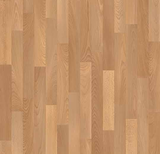 010042 steamed beech