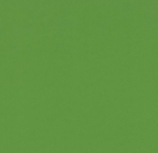 430818, 420818 avocado