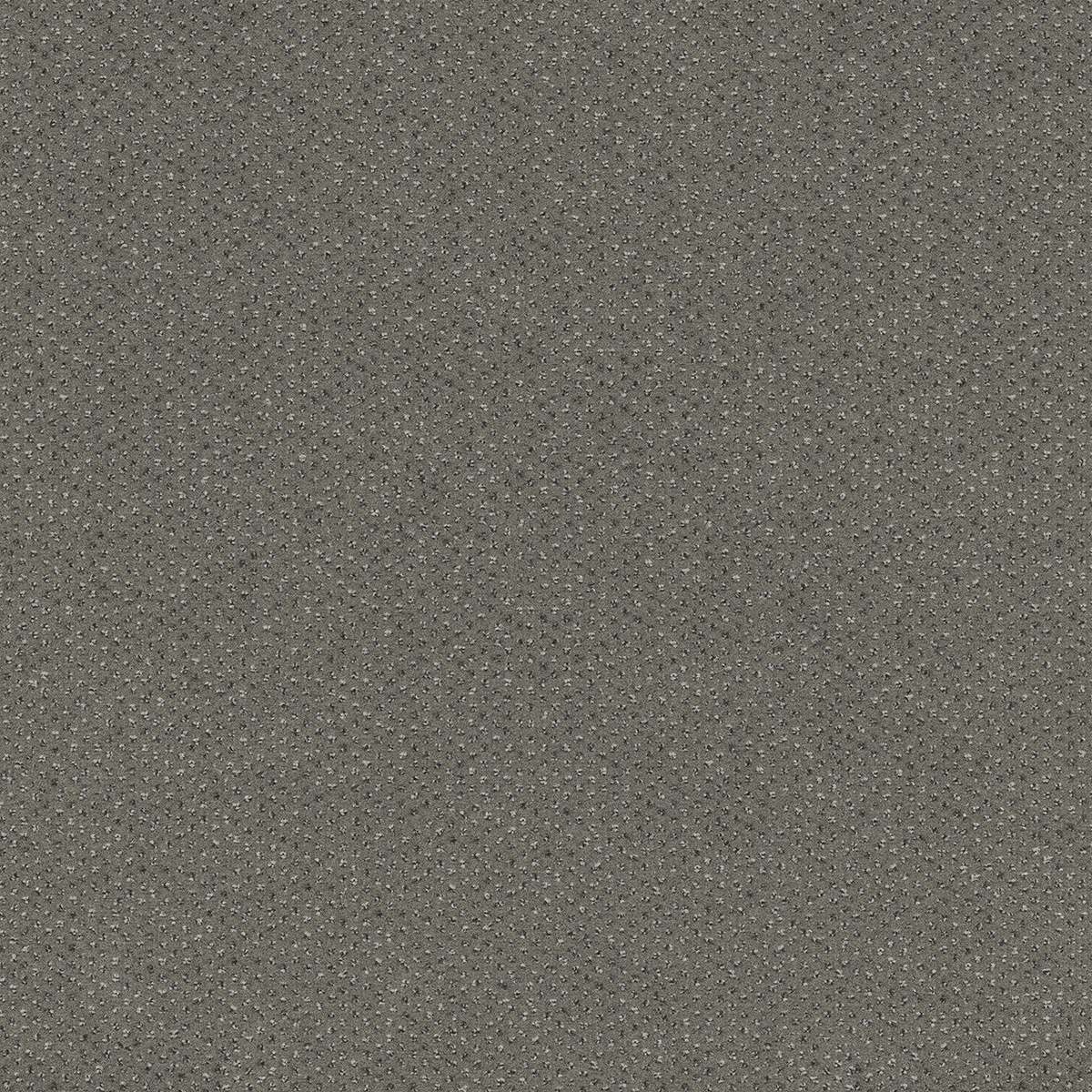 MILANO-II-609_22