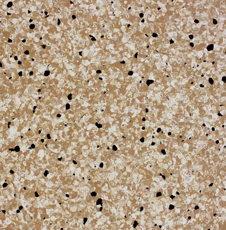 Standard Conductive 808 Sahara