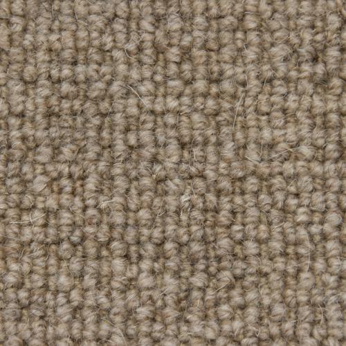 Paddington 137 tan