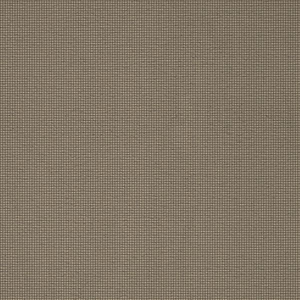 ITC Schubert 43