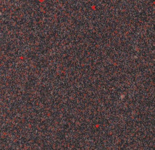 graphic reef 97016