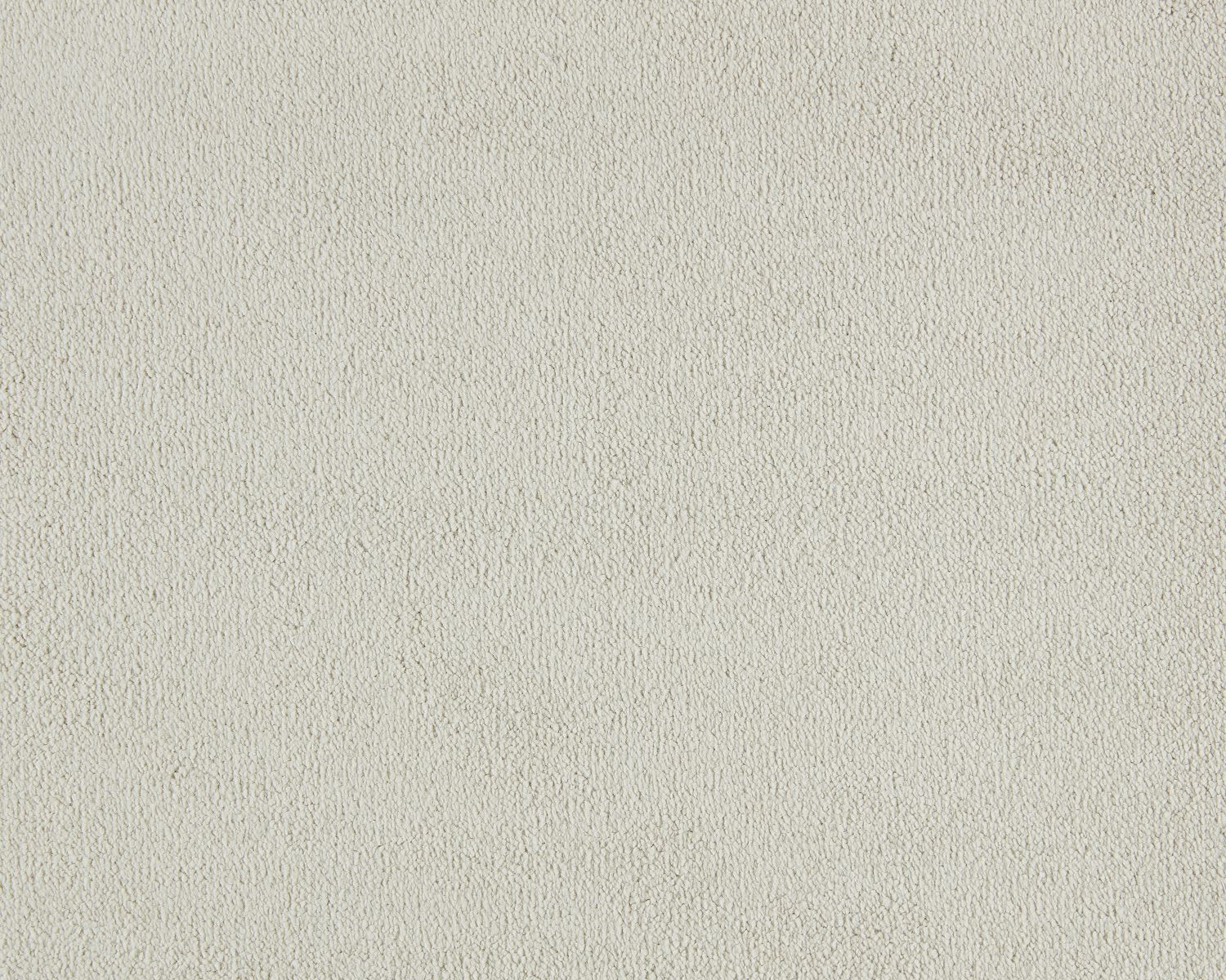 Lior 240 Cream