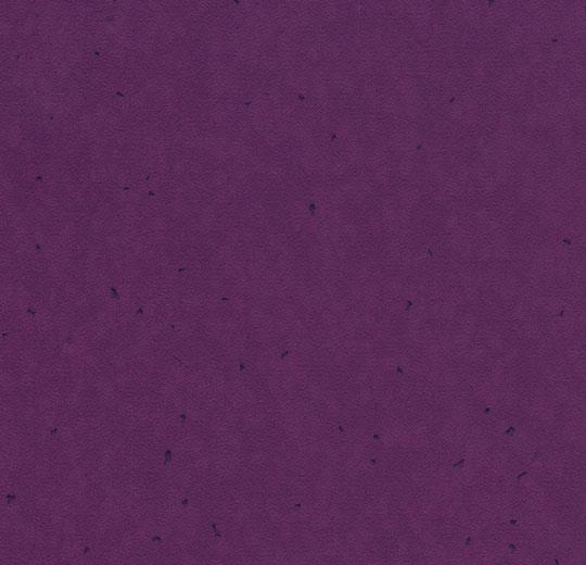 50232 eggplant