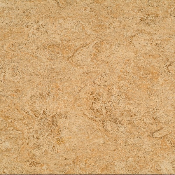 0070 Rocky Brown