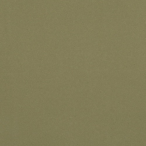 0090 Olive