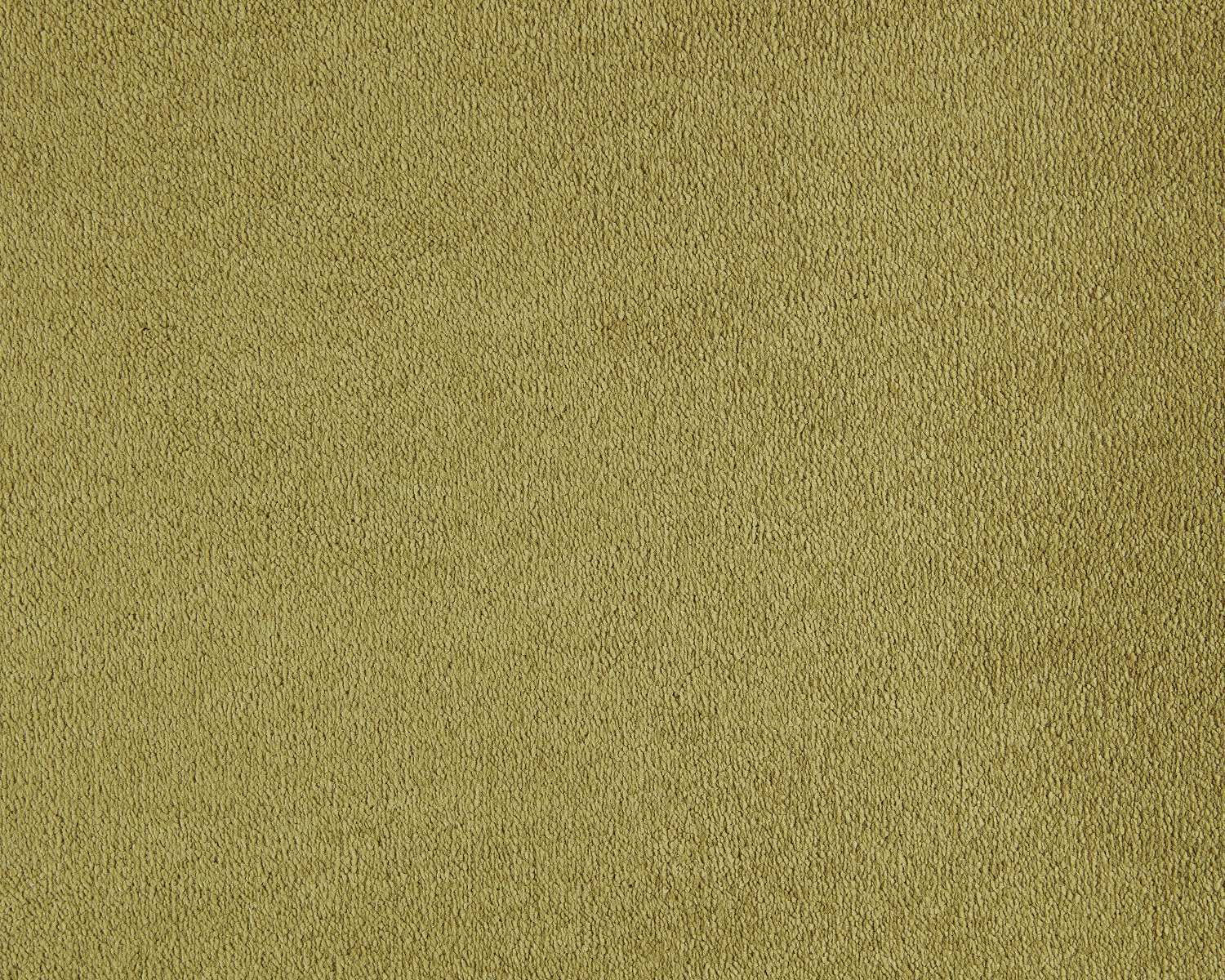 Lior 380 Bronze