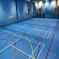 DLV Active Sports Acoustic Floor