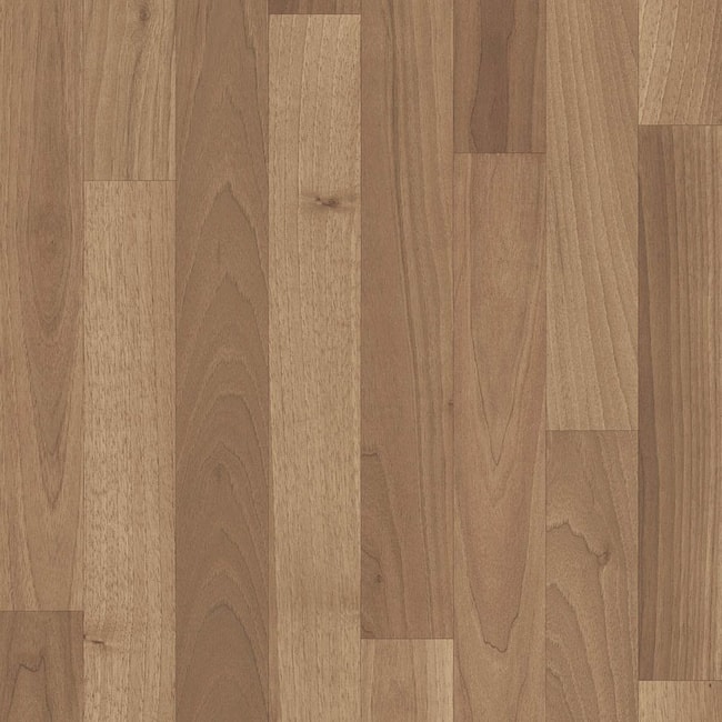 Astral Color 4231-462-5