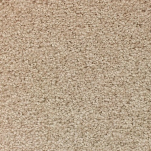 3184 rice