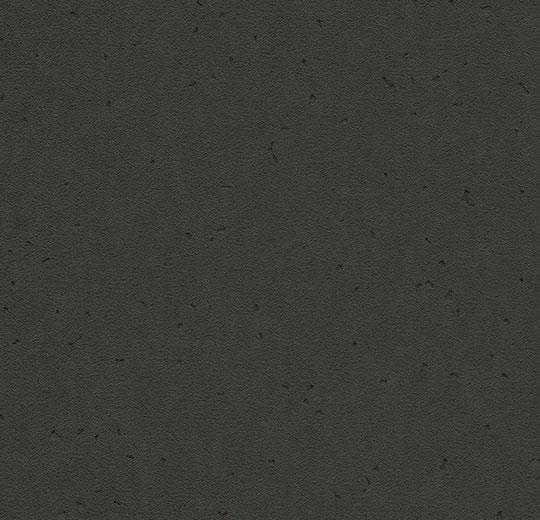 50203 pitch black