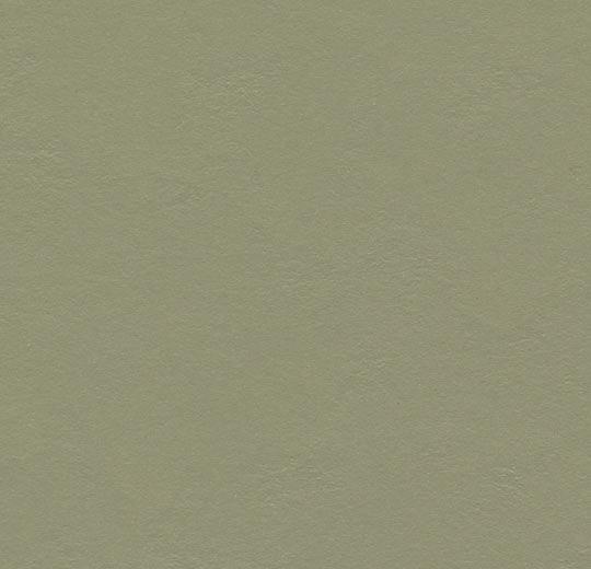 3355/335535 rosemary green