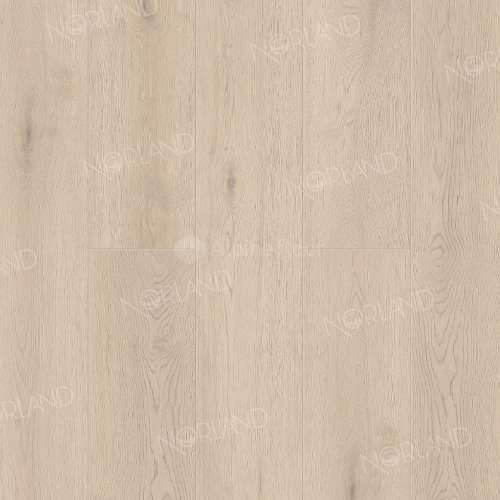 Alante 1003-5