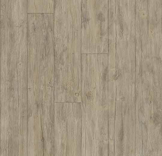 010039 european white wood