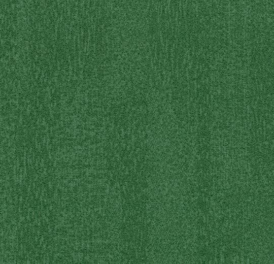 s482010_t382010 evergreen
