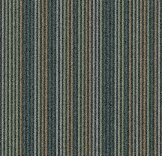 t550008 forest
