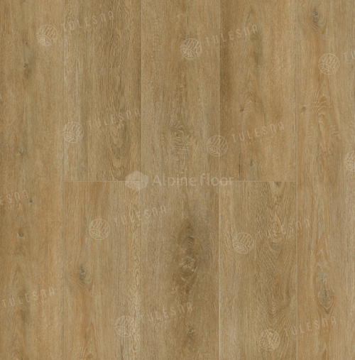 Alcmena 1002-18