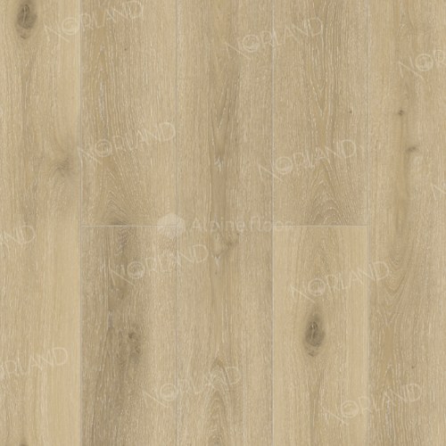 Solem 1022-10