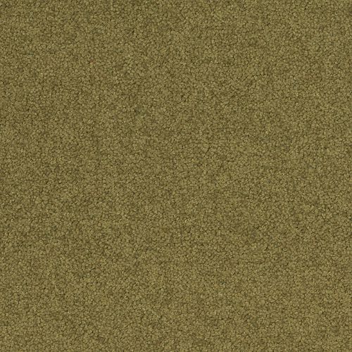Desso Palatino 7862