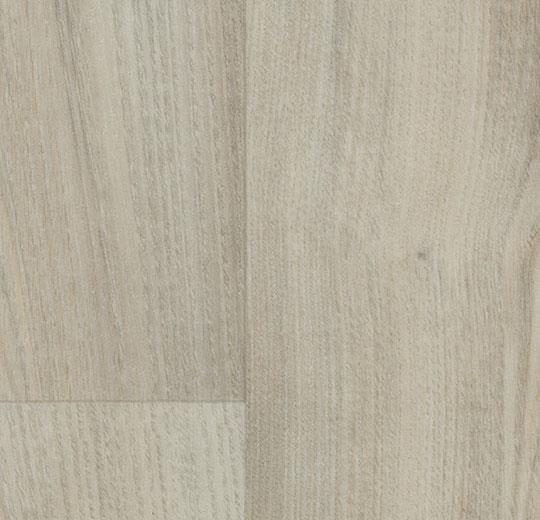 18372 white chestnut