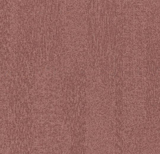 s482016_t382016 coral