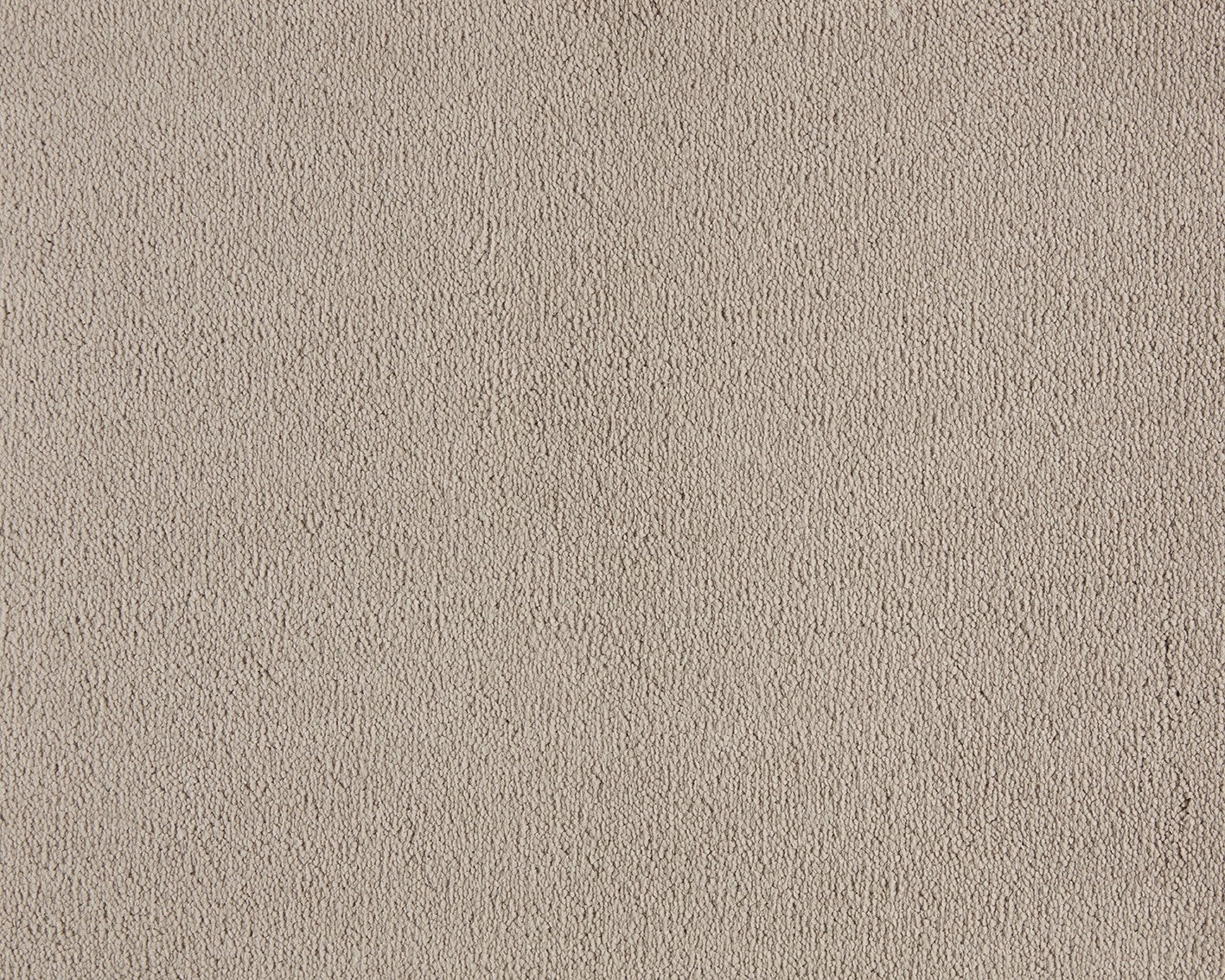 Celeste 260 Camel