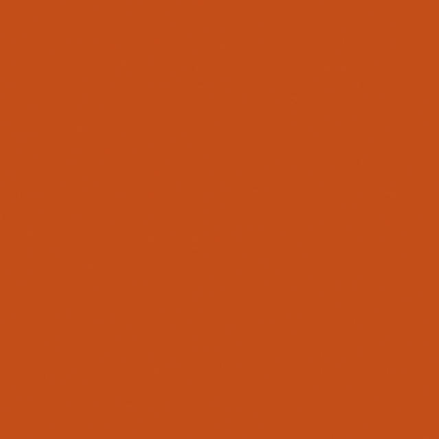 R83 ORANGE